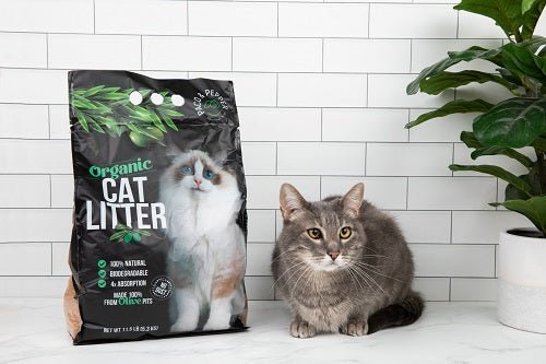 Why Is My Cat Guarding the Litter Box - Paco & Pepper