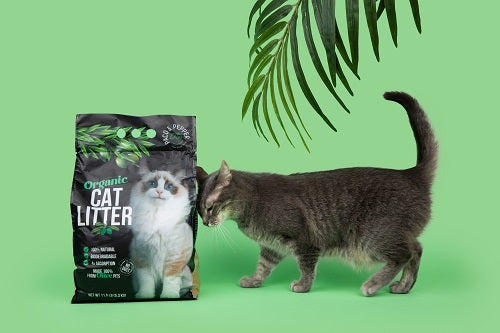 Cat Litter for Sensitive Paws
