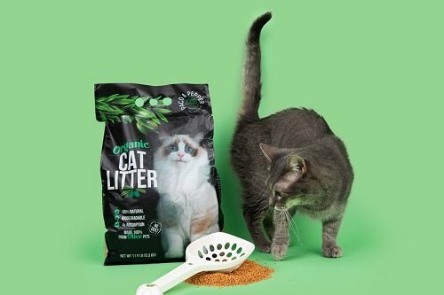 How to Stop Cat Litter Tracking - Paco & Pepper