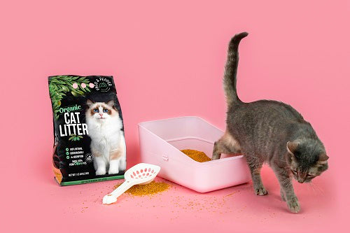 Prevent Cat Litter Scatter