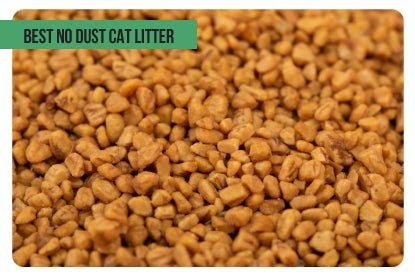 Best no dust cat litter - Paco & Pepper