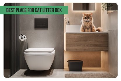 Best Place for Cat Litter Box - Paco & Pepper