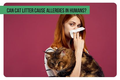 Can Cat Litter Cause Allergies in Humans? - Paco & Pepper