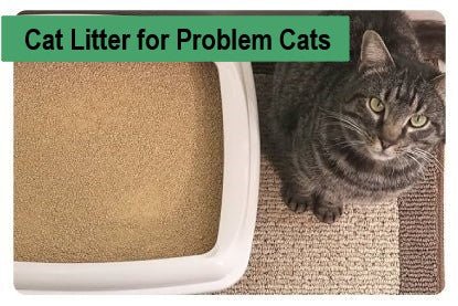 Cat Litter for Problem Cats - Paco & Pepper