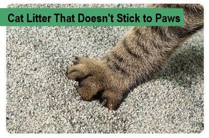 Cat Litter That Doesn't Stick to Paws - Paco & Pepper
