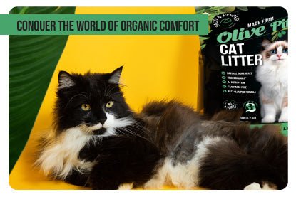 Conquer the World of Organic Comfort: Cat Litters from Paco and Pepper - Paco & Pepper