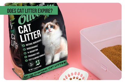 Does Cat Litter Expire? - Paco & Pepper