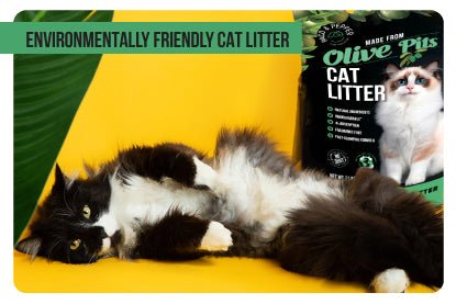 Environmentally Friendly Cat Litter - Paco & Pepper