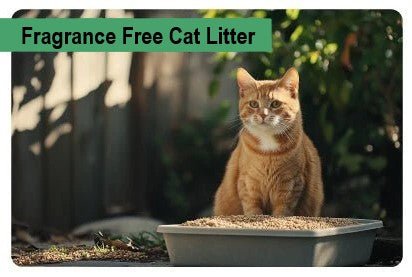Fragrance Free Cat Litter - Paco & Pepper
