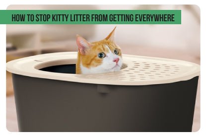 How to stop kitty litter from getting everywhere - Paco & Pepper