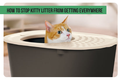 How to Keep Cat Litter From Spreading