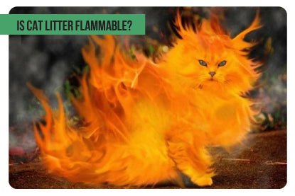 Is Cat Litter Flammable? – Paco & Pepper