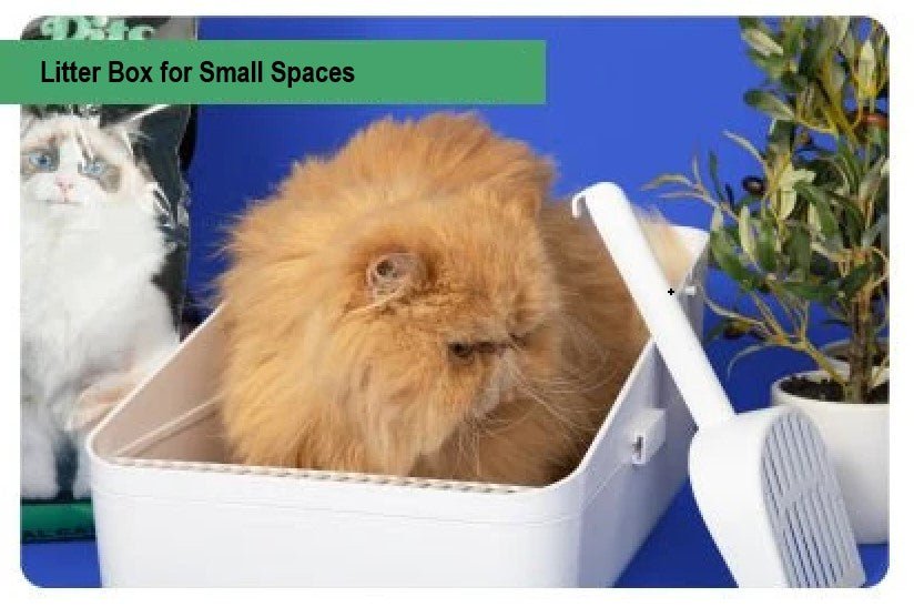 Litter Box for Small Spaces - Paco & Pepper