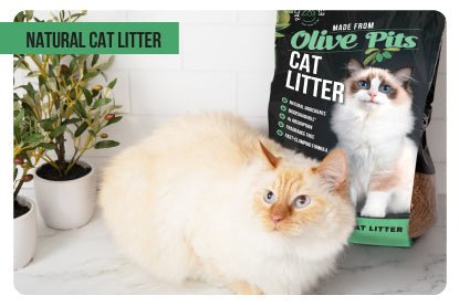 Natural Cat Litter - Paco & Pepper