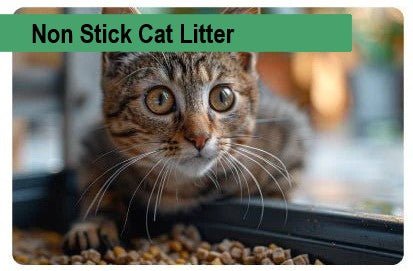 Non Stick Cat Litter - Paco & Pepper