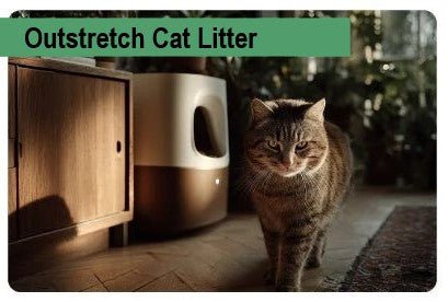 Outstretch Cat Litter - Paco & Pepper