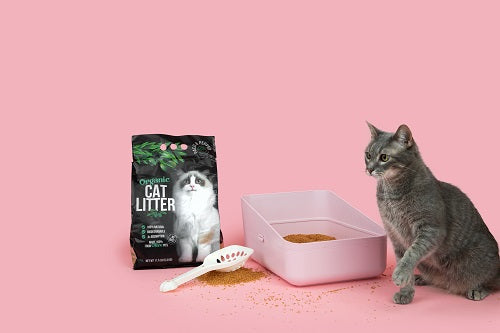 Scoopable Cat Litter