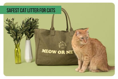 Safest cat litter for cats - Paco & Pepper