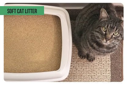 Soft Cat Litter - Paco & Pepper