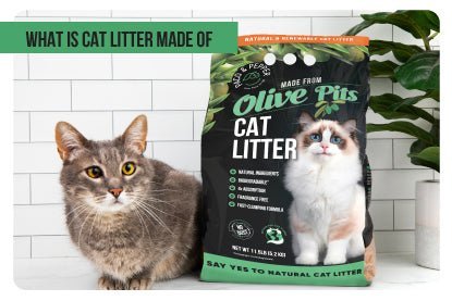 What is cat litter made of - Paco & Pepper