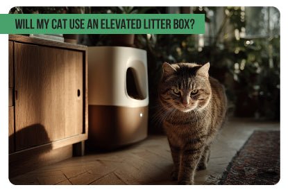 Will My Cat Use an Elevated Litter Box? - Paco & Pepper