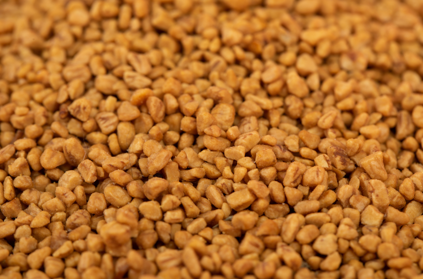 Olive Pit Cat Litter