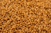 Olive Pit Cat Litter - Paco & Pepper