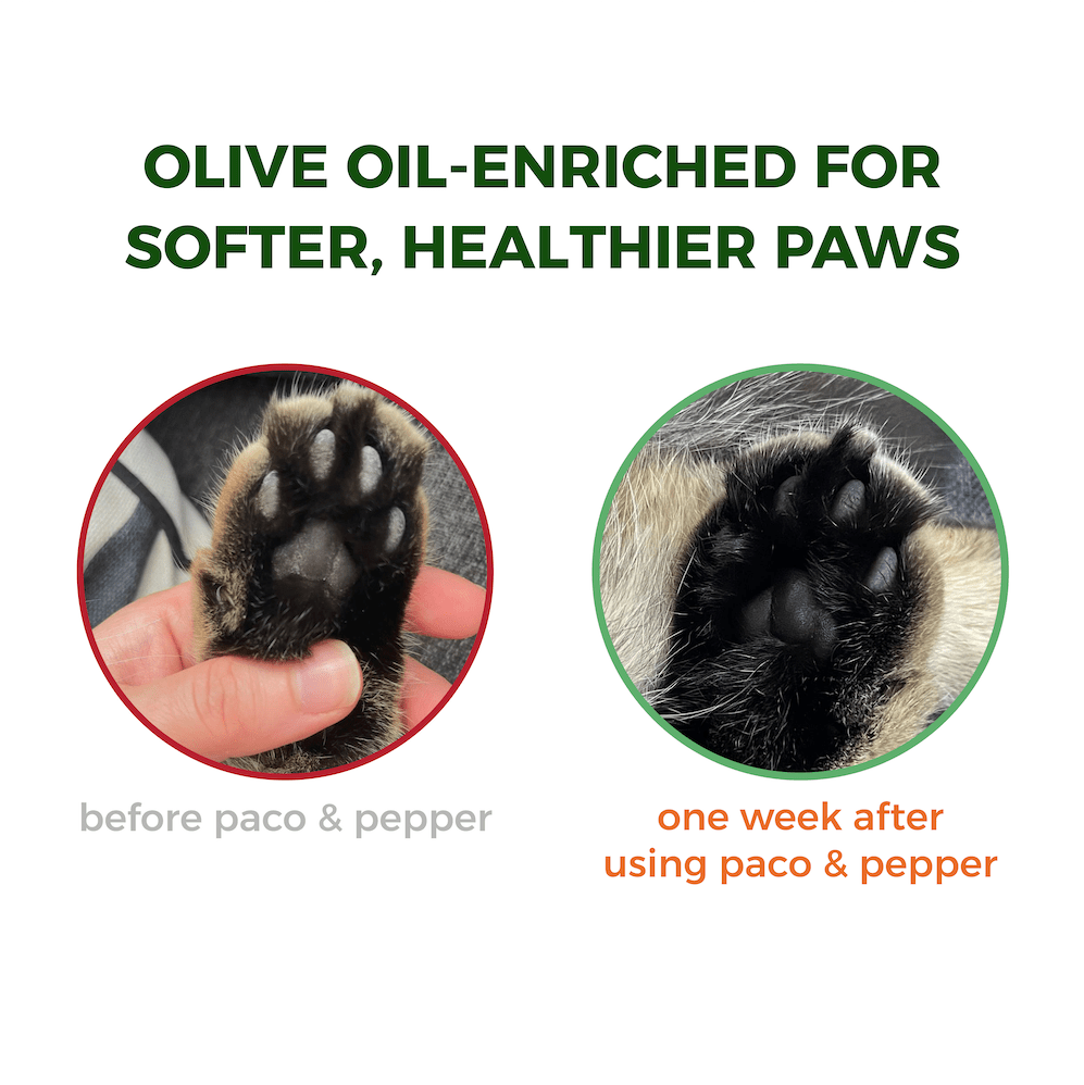 Olive Pit Cat Litter - Paco & Pepper