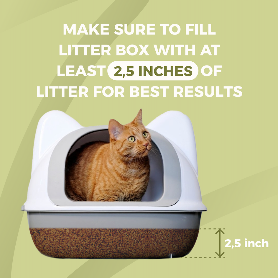 Olive Pit Cat Litter