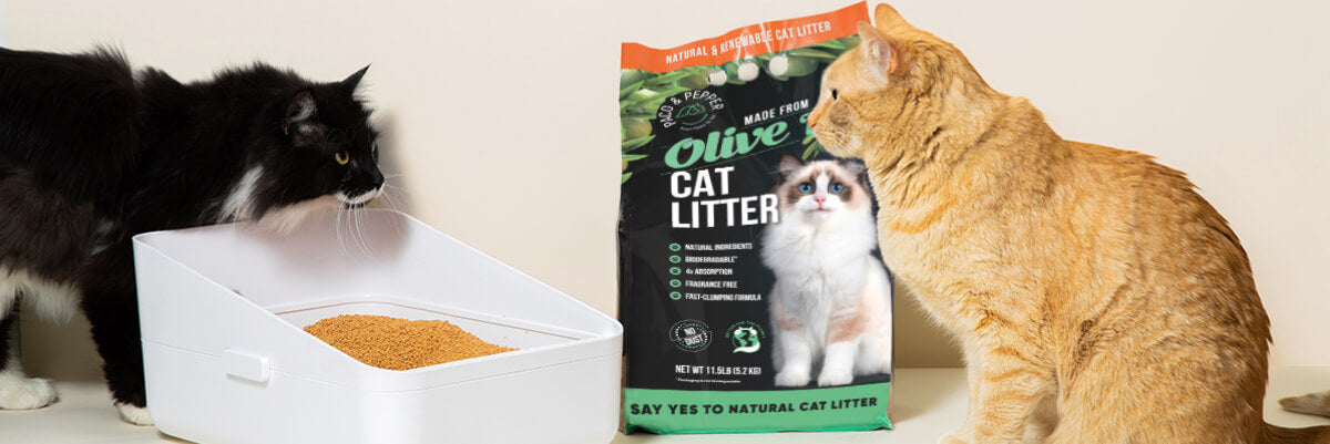 Environmentally Friendly Cat Litter