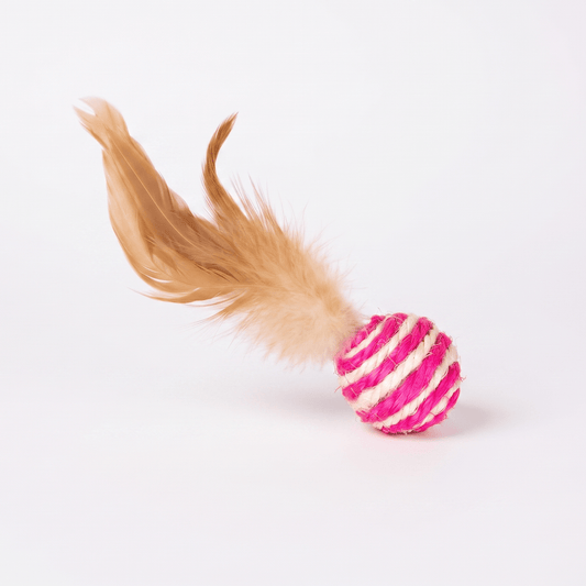 Kitty Toy (Free Gift) - Paco & Pepper