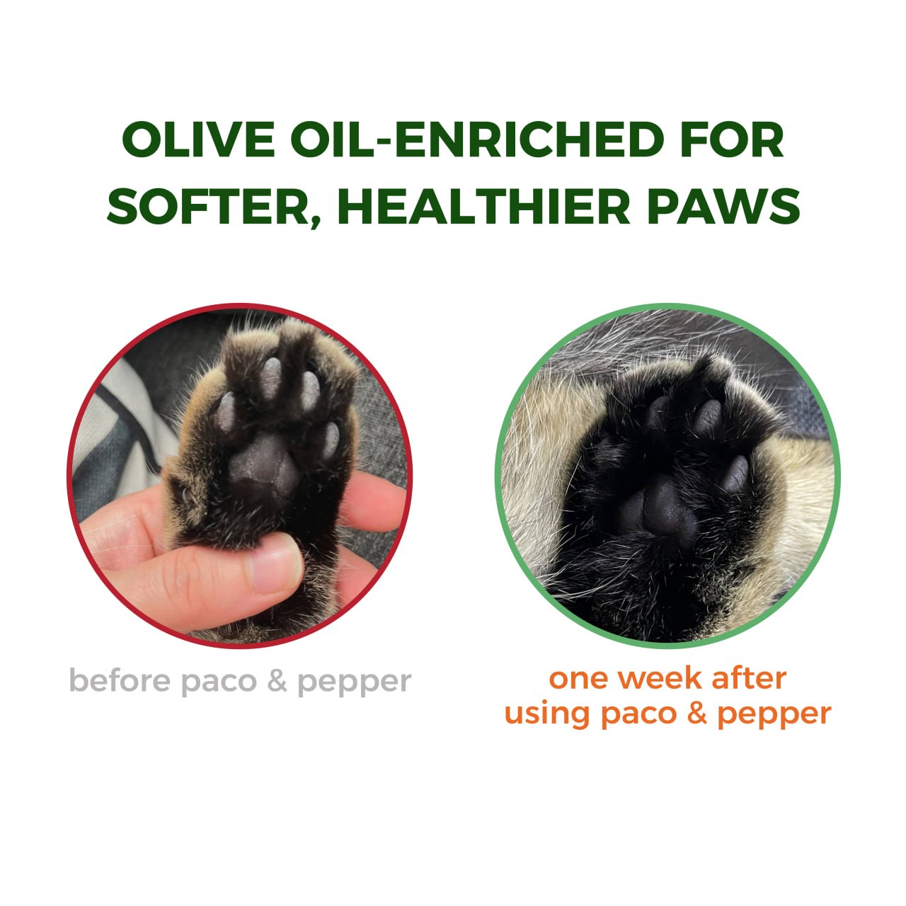 Olive Pit Cat Litter